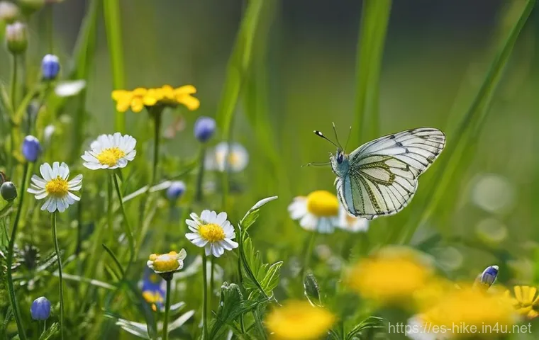봄철 등산 추천 코스 - **Prepared Hiker in Changeable Spring Weather:** A dynamic, mid-shot of a gender-neutral hiker, mid-... 봄철 등산 추천 코스 - **Prepared Hiker in Changeable Spring Weather:** A dynamic, mid-shot of a gender-neutral hiker, mid-...