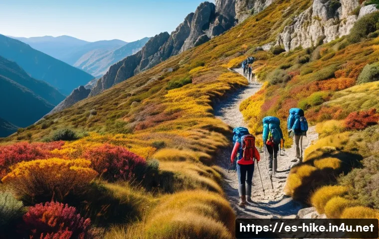 등산 필수 체크리스트 다운로드 - A group of hikers trekking through a lush mountainous trail in Spain during early autumn, wearing la...